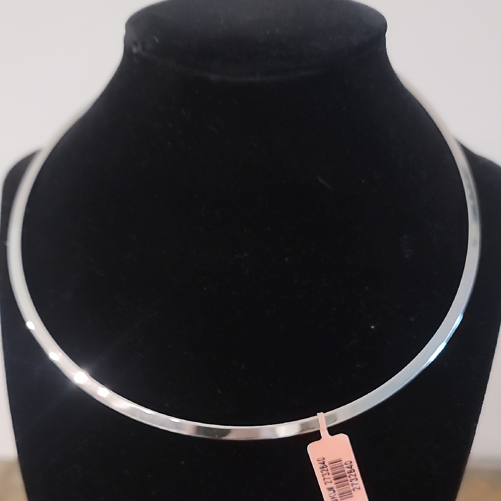 Stainless Steel Collar NWT